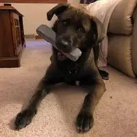 Indestructibone Professional Grade XL Chew Toy – Durable Dog Chew 30-50 Lbs | Made in USA Bulletproof Pet Products Inc  Indestructibone chew toys