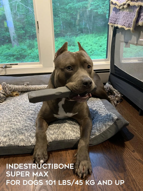 Indestructibone Super Max Durable Dog Chew Toy – Heavy Duty for 101 Lbs+ | Made in USA Bulletproof Pet Products Inc  Indestructibone chew toys
