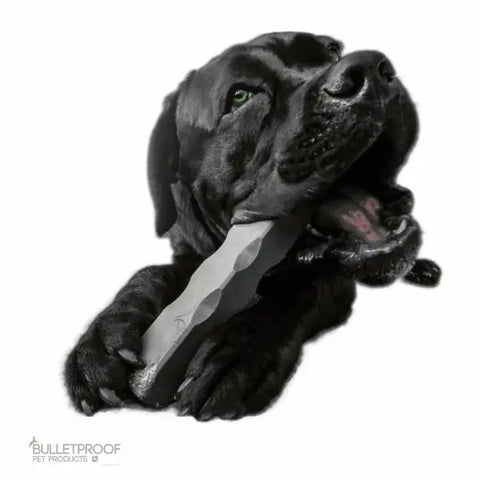 Indestructibone Super Max Durable Dog Chew Toy – Heavy Duty for 101 Lbs+ | Made in USA Bulletproof Pet Products Inc  Indestructibone chew toys