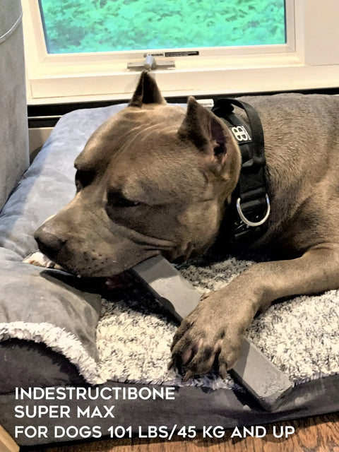 Indestructibone Super Max Durable Dog Chew Toy – Heavy Duty for 101 Lbs+ | Made in USA Bulletproof Pet Products Inc  Indestructibone chew toys
