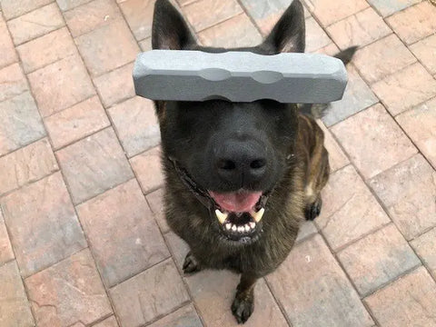 Indestructibone XL Plus Durable Dog Chew Toy – 51 to 100 Lbs | Made in USA Bulletproof Pet Products Inc  Indestructibone chew toys