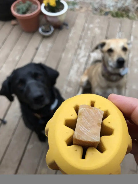 A hand holds the yellow SodaPup Gear EDispener Durable Rubber Treat Holder and Chew Toy with a snack inside, while a black dog and a tan dog sit on a wooden deck looking up eagerly. Potted plants are blurred in the background.