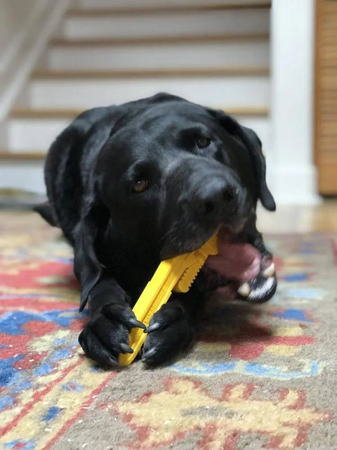 A black Labrador lies on a colorful rug, chewing the SodaPup ID Pipe Wrench Ultra Durable Nylon Dog Chew Toy—ideal for power chewers and behavior improvement. A staircase appears in the background.