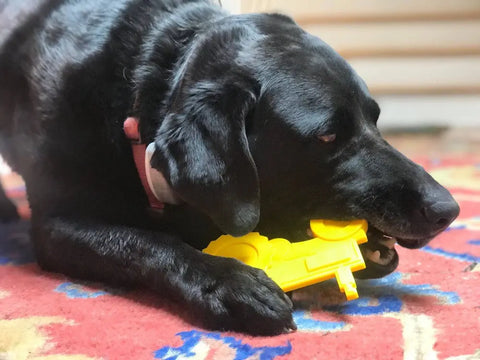 A black dog with a pink collar lies on a colorful patterned rug, chewing on a yellow SodaPup ID Tractor Ultra Durable Nylon Dog Chew Toy designed for power chewers.