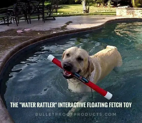Interactive Floating Dog Fetch Toy 18 Inch – Water Rattler | Made in USA Bulletproof Pet Products Inc  DOG TOYS
