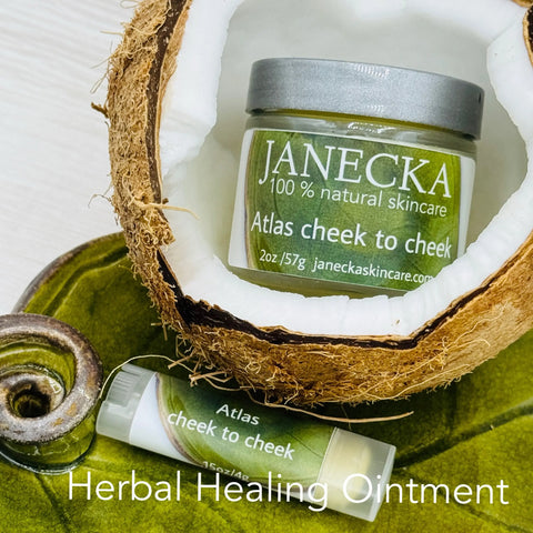 A jar and a tube of Janecka Skincare JANECKA Atlas Cheek to Cheek Herbal Healing Ointment for eczema, made with natural ingredients, sit in a halved coconut; the jar is partially open, with a green ceramic dish nearby.
