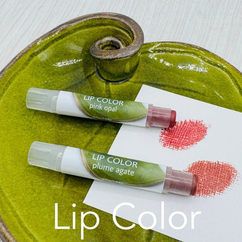 Janecka Natural Tinted Lip Balm – Organic Mineral Pigments | Made in USA Janecka Skincare 