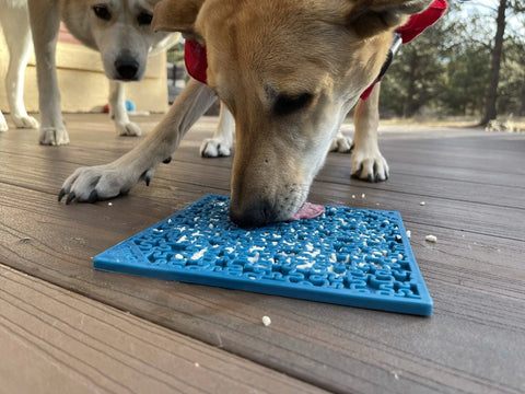 A tan dog wearing a red bandana licks food from a blue SodaPup Jigsaw Design EMat Enrichment Lick Mat on a wooden deck, while another dog stands nearby in the background.