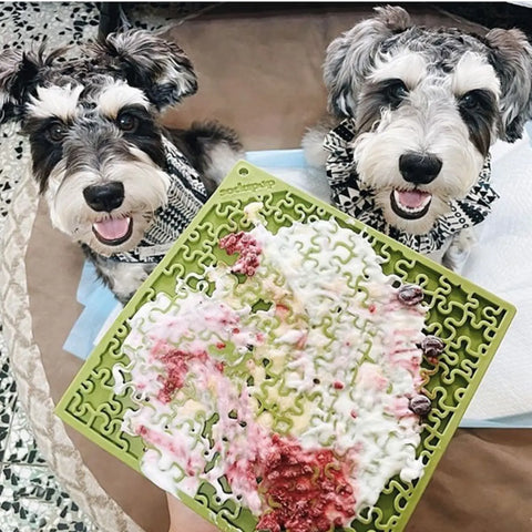 Two happy schnauzers in patterned bandanas sit beside a person holding a green SodaPup Jigsaw Design EMat Enrichment Lick Mat topped with wet dog food and creamy treats.