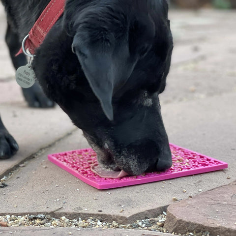 A black dog with a red collar licks a pink SodaPup Jigsaw Design EMat Enrichment Lick Mat on a stone patio, its face close to the mat and focused on this calming activity.
