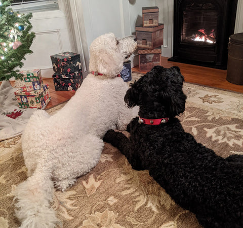 Jingle Bell Studded Collar Auburn Leathercrafters  item