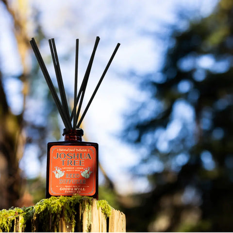 Joshua Tree National Park Reed Diffuser Good & Well Supply Co. 