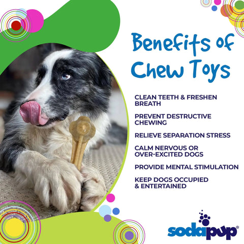 A black and white dog with blue eyes holds a Knuckle Bone Ultra Durable Nylon Dog Chew Toy by SodaPup while licking its nose. Text highlights chew toy benefits, the SodaPup logo is in the corner, and colorful shapes decorate the image.