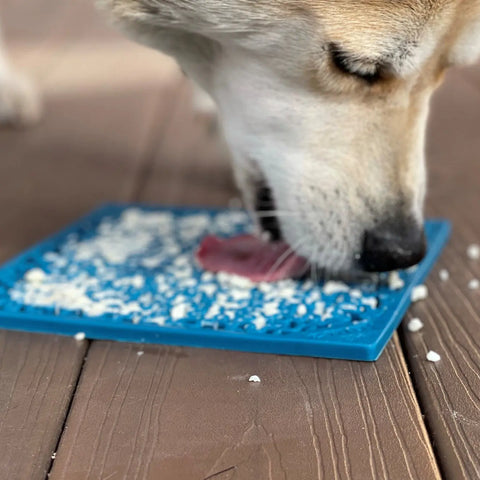 A dog enjoys a SodaPup Large Blue Jigsaw EMat Lick Mat from the Large Blue Jigsaw & Large Red Bones Bundle, licking food off on a wooden floor—an engaging and enriching toy for dogs.