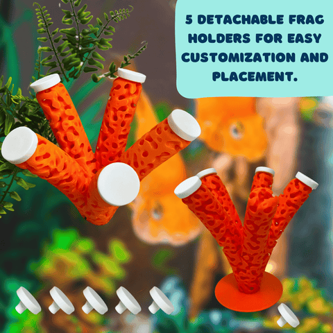 Reef Shape Lattice Coral Frag Stand With 5 Mounts – Vibrant Reef Aquarium Display | Made in USA Chatelet Manufacturing 