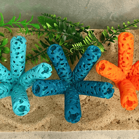 Reef Shape Lattice Coral Frag Stand With 5 Mounts – Vibrant Reef Aquarium Display | Made in USA Chatelet Manufacturing 