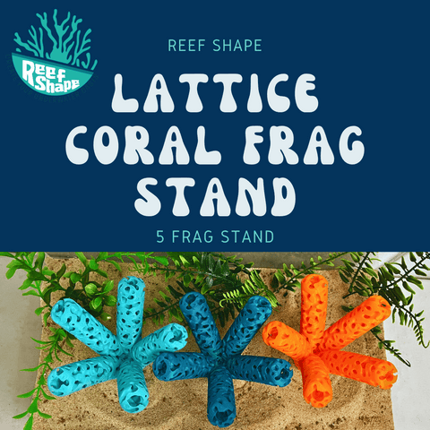 Reef Shape Lattice Coral Frag Stand With 5 Mounts – Vibrant Reef Aquarium Display | Made in USA Chatelet Manufacturing 