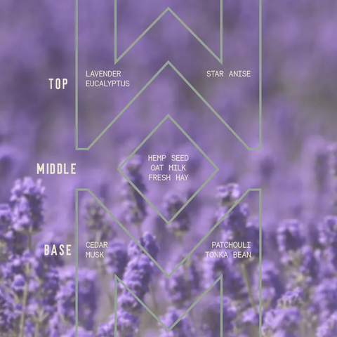 A chart over a blurred lavender field background shows the fragrance notes for the Sawdust & Embers Lavender - Signature Candle: Top (lavender, eucalyptus, star anise), Middle (hemp seed, oat milk, fresh hay), and Base (cedar, musk, patchouli, tonka bean).