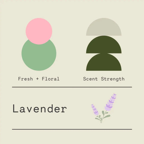 Minimalist graphic for Sawdust & Embers’ Lavender - Signature Candle features pink/green circles labeled Fresh + Floral and green shades for Scent Strength. “Lavender” is styled with sprigs, evoking premium home fragrance vibes.