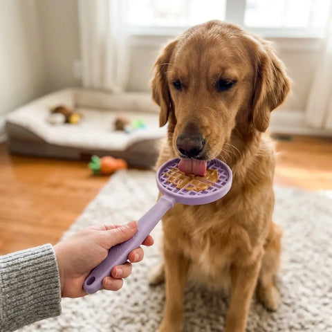 Lick Stick Dog Enrichment Toy 11.5 Inch – Interactive Treat Toy | Made in USA SodaPup  EMAT