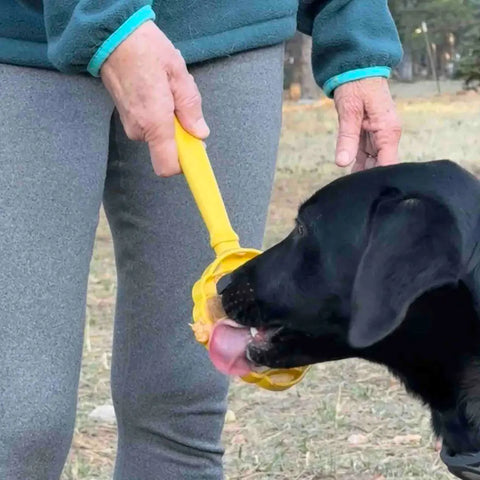 A black dog licks a yellow SodaPup Lick Stick Hand-Held Interactive Enrichment Toy held by a person in gray pants and a teal jacket, showcasing creative, food-based pet enrichment outdoors.