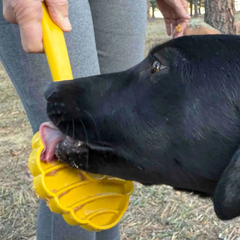 A black dog licks a yellow, paw-shaped SodaPup Lick Stick Hand-Held Interactive Enrichment Toy held by a person in gray pants, outside on grass and dirt.