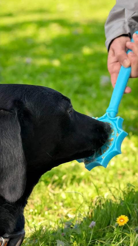 A black dog bites a blue Lick Stick Hand-Held Interactive Enrichment Toy by SodaPup, held by a person outdoors on green grass with yellow flowers in the background.
