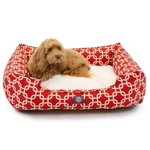 A small, fluffy brown dog is lying on the Majestic Pet Links Contemporary Lounge Bed, featuring a red and white pattern, rectangular shape with raised sides, and a soft cream cushion filled with premium fiberfill.