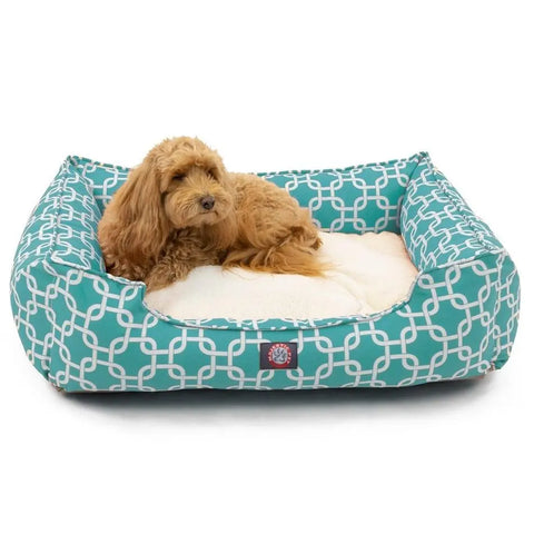 A small, fluffy light brown dog rests on a white cushion inside the teal Links Contemporary Lounge Bed by Majestic Pet, featuring a white geometric pattern and premium fiberfill for added comfort.