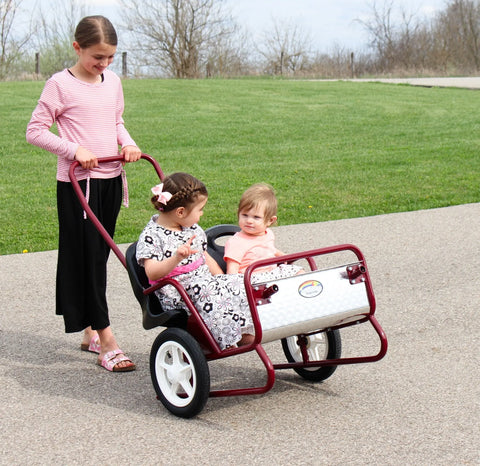 Lollipop Express 2-Seat Amish-Made Kids Stroller and Pull Cart Combo – Durable Metal Frame | Made in USA Amish Toy Box  Kid's Stroller
