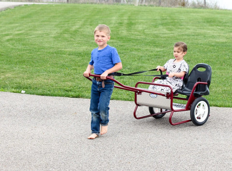 Lollipop Express 2-Seat Amish-Made Kids Stroller and Pull Cart Combo – Durable Metal Frame | Made in USA Amish Toy Box  Kid's Stroller