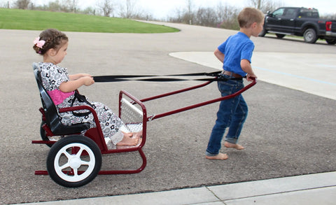 Lollipop Express 2-Seat Amish-Made Kids Stroller and Pull Cart Combo – Durable Metal Frame | Made in USA Amish Toy Box  Kid's Stroller