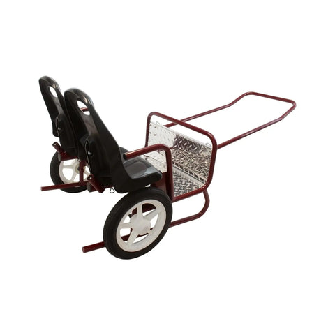 Lollipop Express 2-Seat Amish-Made Kids Stroller and Pull Cart Combo – Durable Metal Frame | Made in USA Amish Toy Box  Kid's Stroller