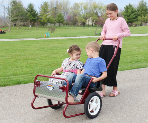 Lollipop Express 2-Seat Amish-Made Kids Stroller and Pull Cart Combo – Durable Metal Frame | Made in USA Amish Toy Box  Kid's Stroller