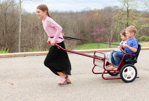 Lollipop Express 2-Seat Amish-Made Kids Stroller and Pull Cart Combo – Durable Metal Frame | Made in USA Amish Toy Box  Kid's Stroller