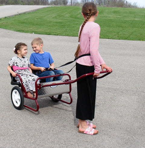 Lollipop Express 2-Seat Amish-Made Kids Stroller and Pull Cart Combo – Durable Metal Frame | Made in USA Amish Toy Box  Kid's Stroller