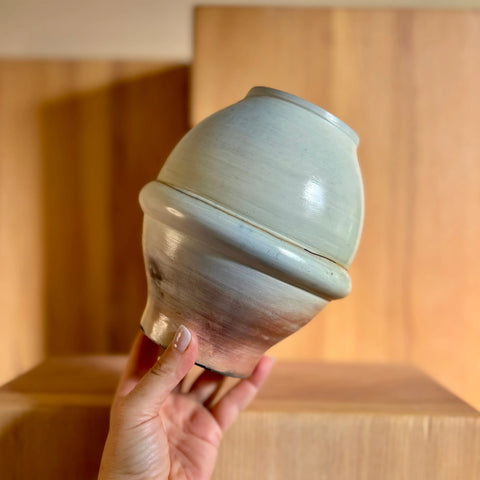 Lunar Exploration 1 All Muddy 