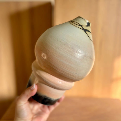 Lunar Exploration 5 All Muddy 