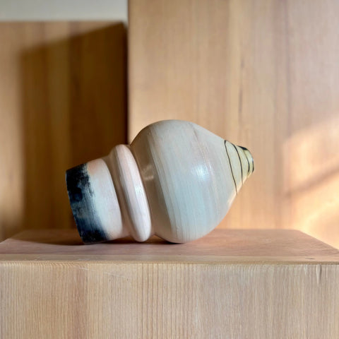 Lunar Exploration 5 All Muddy 