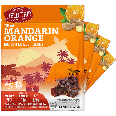 Field Trip Mandarin Orange Teriyaki Grass-Fed Beef Jerky 2.2oz 4-Pack | Made in USA Field Trip 