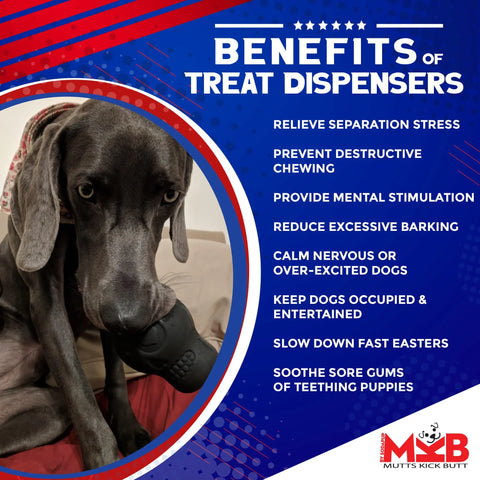 A gray dog holds the SodaPup Magnum Sugar Skull EDispenser Ultra-Durable Chew Toy & Treat Dispenser—Black, which relieves stress, boosts mental stimulation, and curbs destructive behaviors. Mutts Kick Butt logo shown. Try this slow feeder dog toy!.