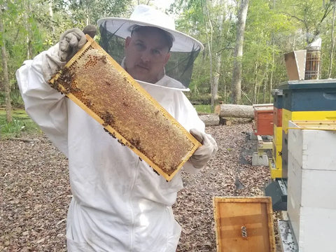 Mandarin Orange Honey Honey Badgers Bee Farm  Flavoried Honey