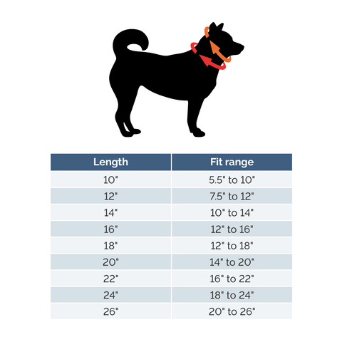 Martingale Shearling-Lined Collar Auburn Leathercrafters  item