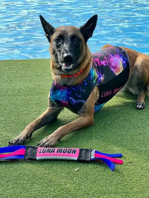 Mini Dock Diving Bumper Tug – 8.5 Inch Water Dog Toy | Made in USA Bulletproof Pet Products Inc  DOCK TUG