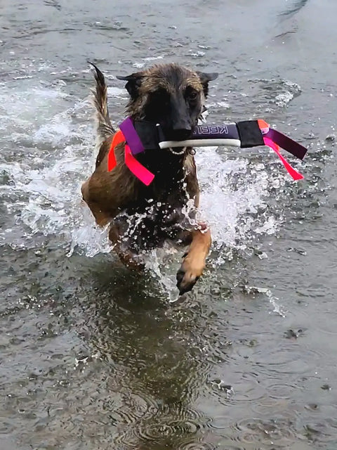 Mini Dock Diving Bumper Tug – 8.5 Inch Water Dog Toy | Made in USA Bulletproof Pet Products Inc  DOCK TUG