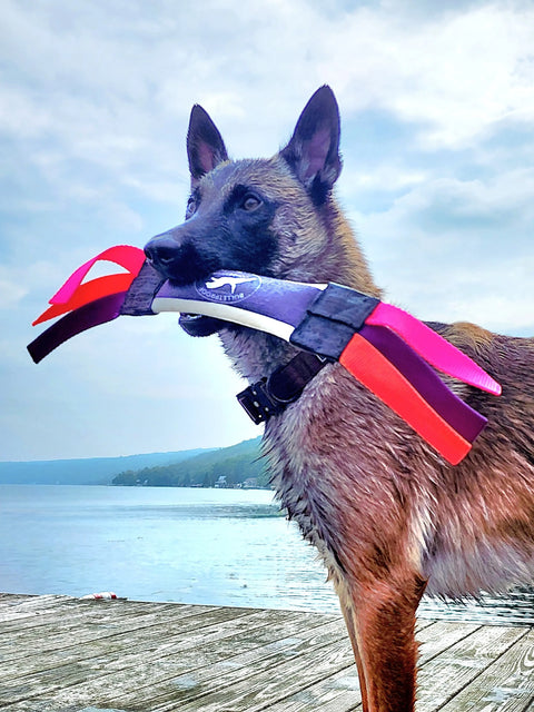 Mini Dock Diving Bumper Tug – 8.5 Inch Water Dog Toy | Made in USA Bulletproof Pet Products Inc  DOCK TUG