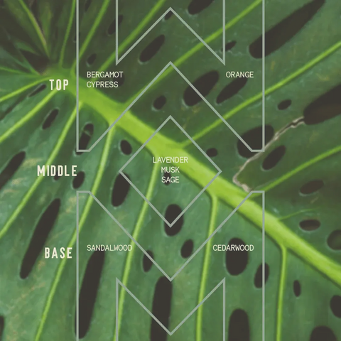 The Sawdust & Embers Monstera - Signature Candle features a fragrance pyramid with bergamot, cypress, and orange top notes; lavender, musk, and sage middle notes; and sandalwood, cedarwood base—ideal for your home fragrance collection.