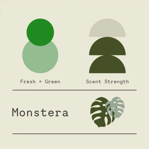 Minimalist graphic for Sawdust & Embers’ Monstera - Signature Candle features two green overlapping circles (Fresh + Green), four half-circles for scent strength, “Monstera” text, and a Monstera leaf—ideal for highlighting this home fragrance.