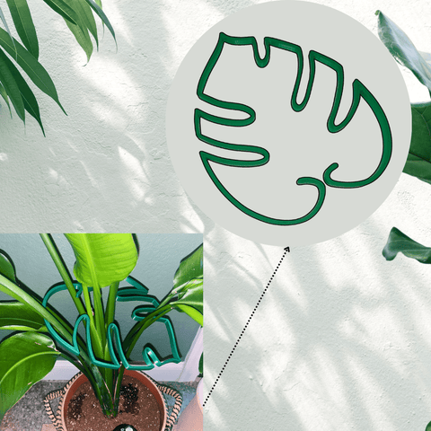 Monstera Leaf Plant Support – Vertical Indoor Plant Stake | Handmade in USA Chatelet Manufacturing 