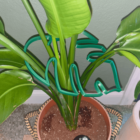 Monstera Leaf Plant Support – Vertical Indoor Plant Stake | Handmade in USA Chatelet Manufacturing 